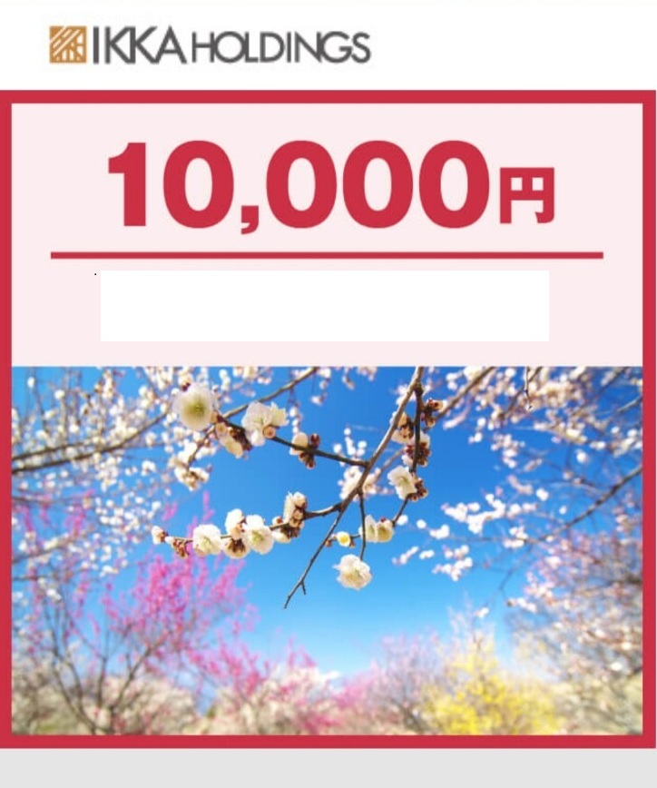 一家ホールディングス　株主優待券　格安販売なら金券